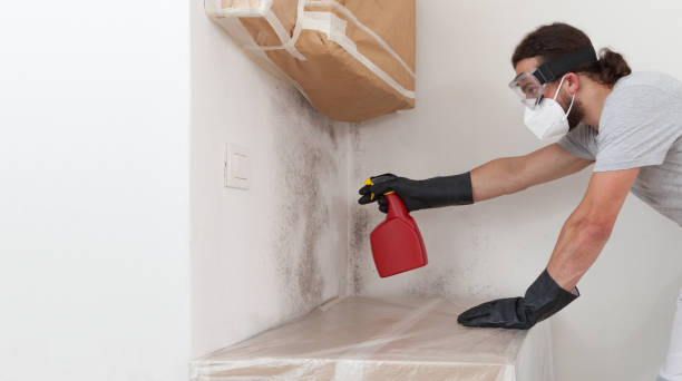 Professional Black Mold Remediation technician working in Traverse City, MI