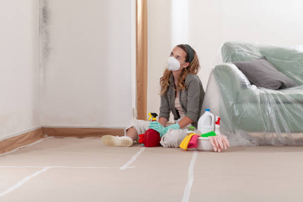 Reliable Black Mold Remediation contractor in Traverse City, MI by Car Mold Remediation